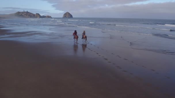 Luchtfoto Van Vrouwen Die Paardrijden Het Strand — Stockvideo
