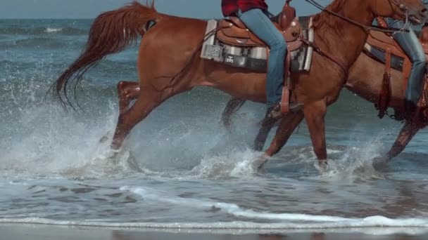 Super Slow Motion Shof Women Riding Horses Beach Oregon Shot — стоковое видео