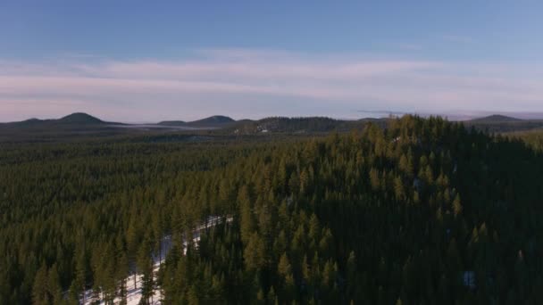 Oregon 2018 Dolaylarında Desparutes Ulusal Ormanı Nın Havadan Görünüşü Helikopterden — Stok video