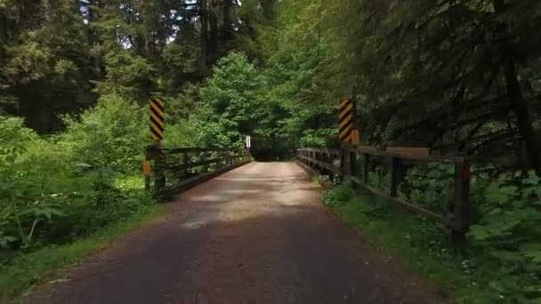 Conduire Sur Pont Dans Forêt — Video