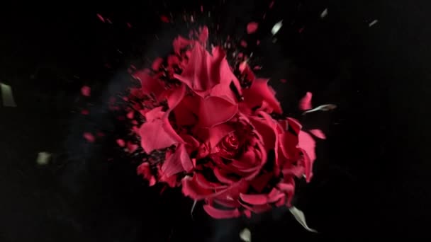 Flower Frozen Liquid Nitrogen Explodes Slow Motion Footage Black Background — Stock Video