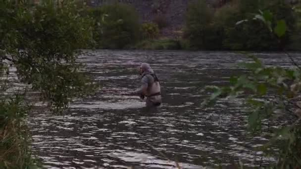 Uomo Pesca Mosca Nel Fiume — Video Stock