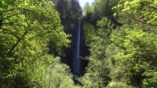 Водопад Ущелье Реки Колумбия — стоковое видео