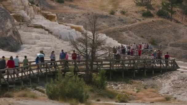 Εθνικό Πάρκο Γέλοουστοουν Περίπου 2018 Άνθρωποι Περπατούν Μονοπάτια Στο Mammoth — Αρχείο Βίντεο