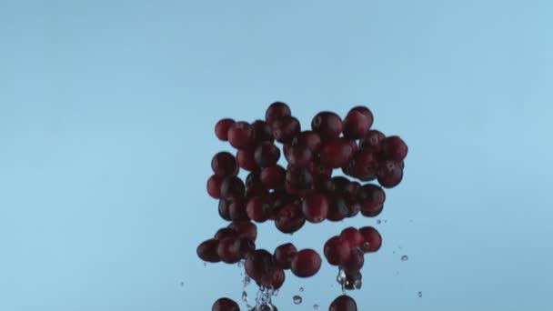 Cranberries Frescos Câmera Lenta Filmado Com Phantom Flex 1000 Quadros — Vídeo de Stock