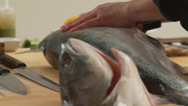 Sushi Koch Zerteilt Lachsfisch — Stockvideo