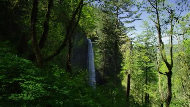 Cascada Enmarcada Por Árboles Desfiladero Del Río Columbia Oregón — Vídeos de Stock