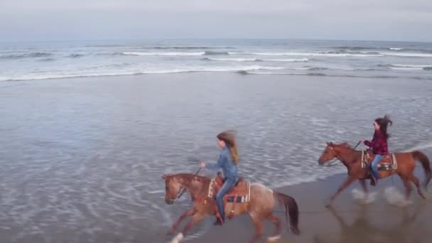 ビーチで馬に乗る女性の空中ビュー — ストック動画