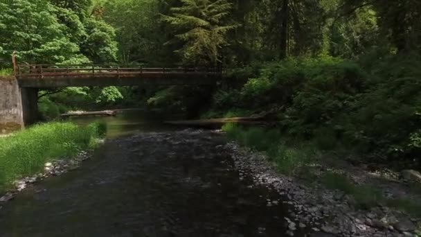 Volando Sobre Arroyo Con Puente Oregon — Vídeo de stock