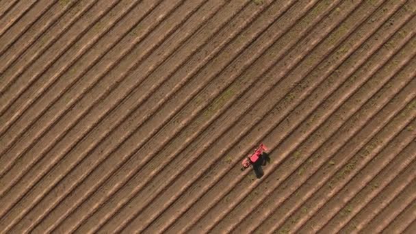 Luftaufnahme Eines Traktors Auf Einem Bauernhof Der Reihen Hinunterfährt — Stockvideo