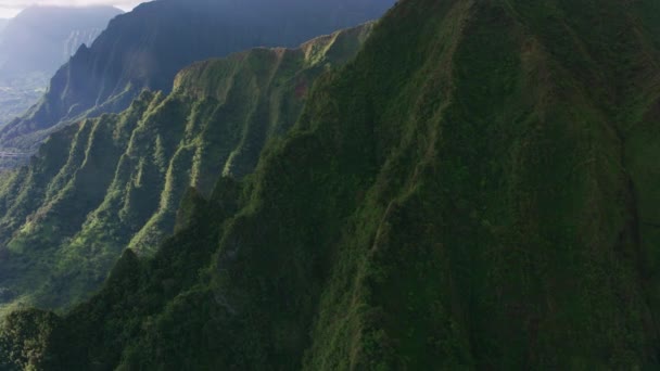 Oahu Hawaï Circa 2018 Luchtfoto Van Waiahole Forest Reserve Opgenomen — Stockvideo