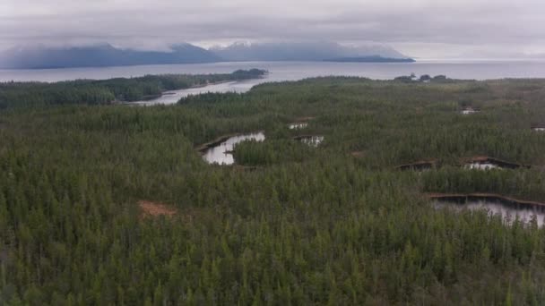 Alaska Circa 2018 Vliegen Inhammen Eilanden Langs Kust Van Alaska — Stockvideo