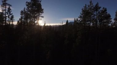 Oregon Ormanı ve Dağı 'nın havadan görünüşü. Bekar.