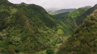 Kauai, Hawaii 2018 dolaylarında, Kauai 'deki Hanapepe Vadisi' nin havadan görünüşü. Cineflex ve RED Epic-W Helyum ile çekilmiştir..