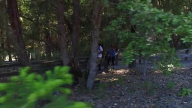 Ormanda yürüyüş yapan bir çift.