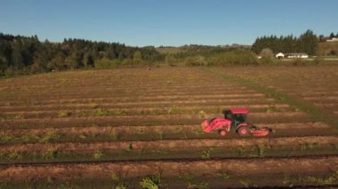 Tarlada sıra sıra ilerleyen traktörün hava görüntüsü