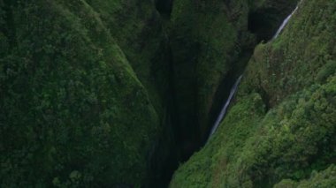 Oahu, Hawaii 2018 dolaylarında. Kutsal Şelale 'nin havadan görünüşü. Cineflex ve RED Epic-W Helyum ile çekilmiştir..