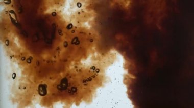 Saniyede 1000 kare hızla Phantom Flex 4K ile kahve yapmak.