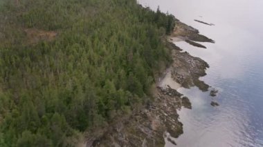 Alaska - yaklaşık 2018: Alaska kıyıları boyunca körfez ve adaların üzerinde uçmak. Helikopterden Cineflex gimbal ve RED Epic-W kamerasıyla çekildi..
