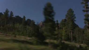 Black Hills, Güney Dakota 'da yol boyunca araba sürüyorum.