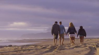 Bir grup arkadaş sahilde birlikte yürüyorlar.