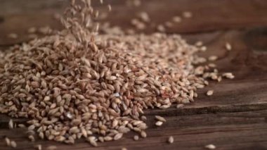 Arpa doldurma, ağır çekim, Phantom Flex 4K 'de çekim.