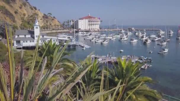Flygfoto Över Avalon Hamn Och Kasino Catalina Island Kalifornien — Stockvideo