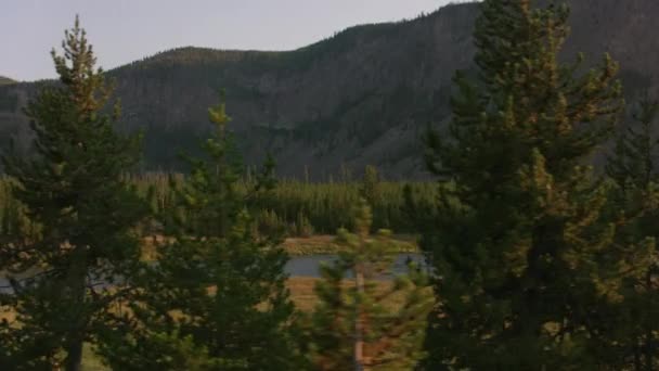 옐로스톤 Yellowstone National Park 2018 년경에 개장하였다 아름다운 직이는 — 비디오