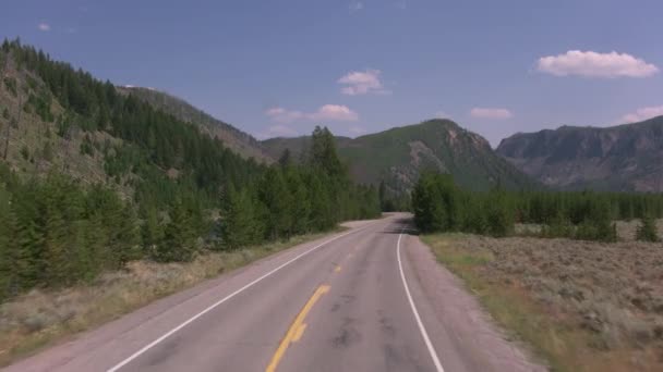 Conduciendo Por Parque Nacional Yellowstone — Vídeo de stock