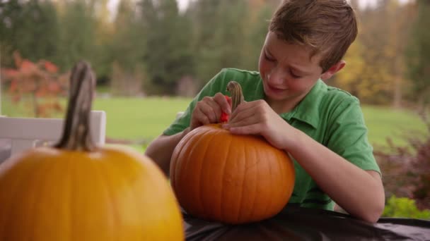 Boy Carving Pumpkin Halloween — Stock Video
