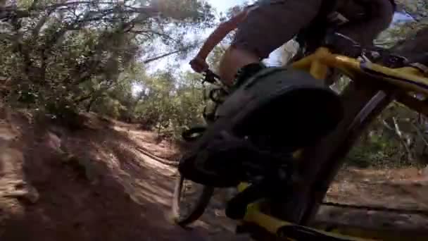 Pov Cámara Acción Tiro Hombre Montando Bicicleta Montaña — Vídeo de stock