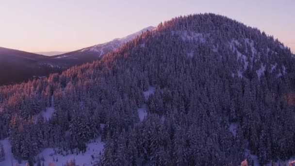 Oregon 2018 Luftaufnahme Des Bachelor Bei Sonnenaufgang Aufnahme Aus Dem — Stockvideo