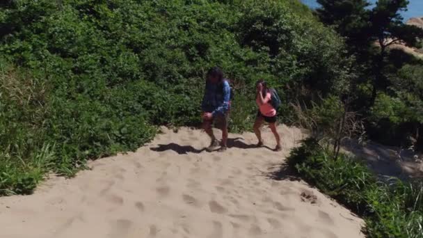 Caminhadas Casal Dunas Areia Praia — Vídeo de Stock