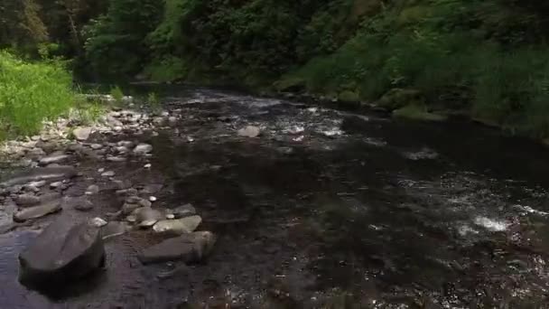 Monter Ruisseau Dans Oregon États Unis — Video