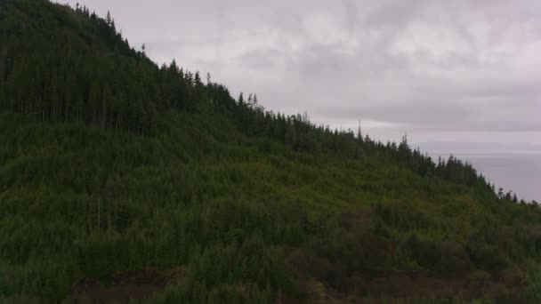 Alaska Circa 2018 Flying Forested Land Alaska Coast Shot Helicopter — Stock Video