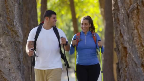 Caminhadas Casal Livre Fazer Uma Pausa Para Olhar Para Floresta — Vídeo de Stock