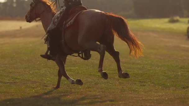 Woman Horseback Riding Super Slow Motion Shot Phantom Flex 1000Fps — Stock Video