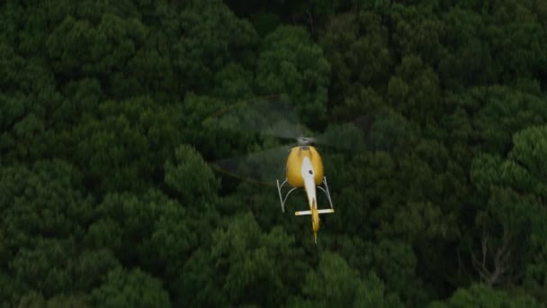 Zbliżenie Powietrza Helikoptera Lecącego Nad Drzewami Postrzelony Cineflex Red Epic — Wideo stockowe