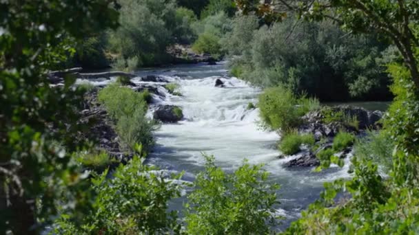 Scena Panoramica Rapide Acqua Bianca Rouge River Oregon Usa — Video Stock
