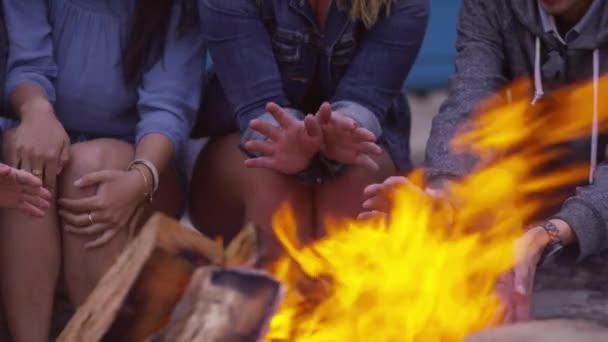 Ystävät Rannalla Lämmittävät Käsiään Nuotion Ääressä — kuvapankkivideo