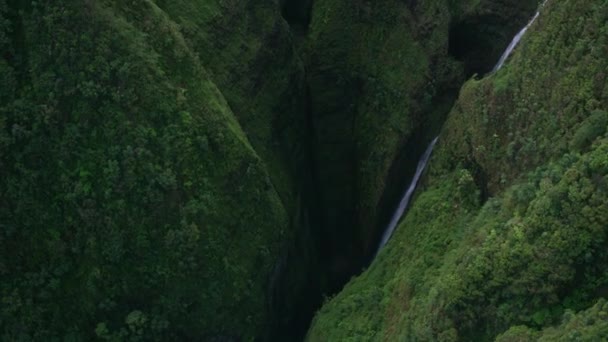 Oahu Hawaï Circa 2018 Luchtfoto Van Sacred Falls Opgenomen Met — Stockvideo