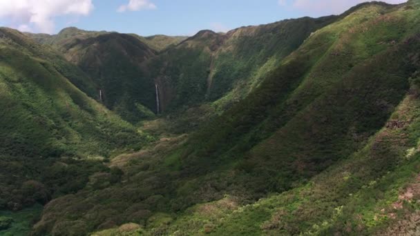 Молокай Гавайи Около 2018 Года Вид Воздуха Водопад Puapua Молокай — стоковое видео