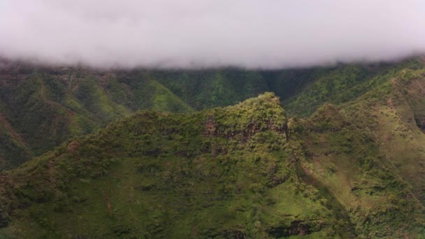 Kauai Hawaii Circa 2018 Luchtfoto Van Kauai Canyon Met Lage — Stockvideo