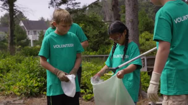 Group Volunteers Cleaning Park — Stock Video
