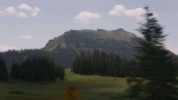 Shoshone National Forest Wyoming — Stockvideo