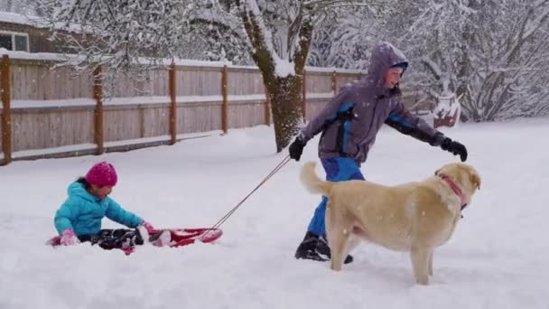 Bambini Che Tirano Slitta Nella Neve — Video Stock