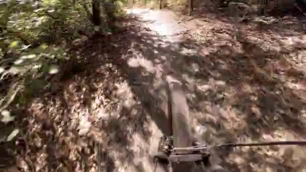 Pov Kamera Akcji Ujęcie Człowieka Jazda Rowerze Górskim — Wideo stockowe