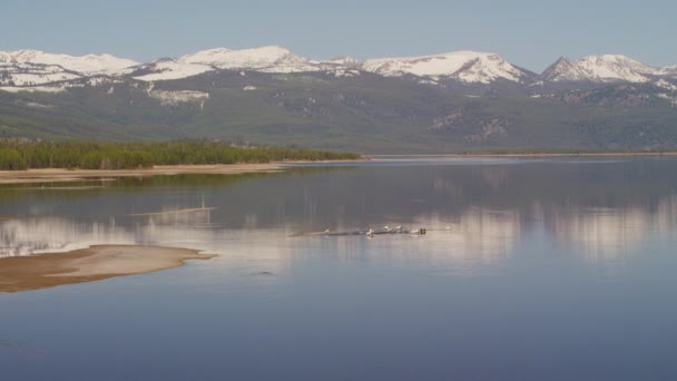 Parc National Yellowstone Images Aériennes Nature États Unis — Video