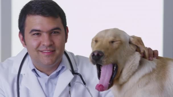Veterinären Ger Hunden Checkup — Stockvideo