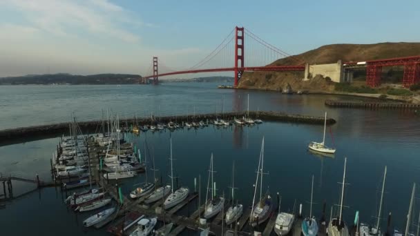 Boat Marina Golden Gate Bridge San Fransisco California Ripresa Aerea — Video Stock